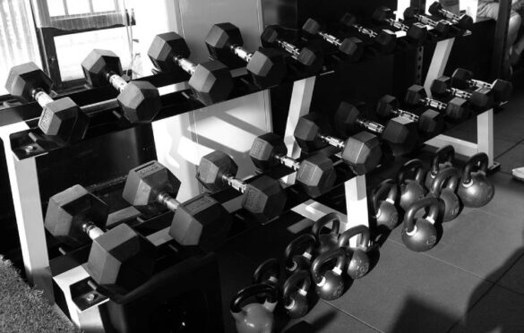  Which type of Dumbbells is Best for you?