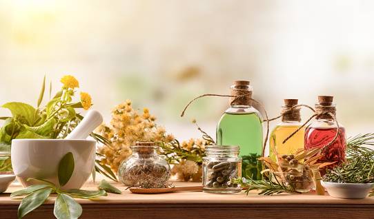  Medicinal Herbs which will help you to Relax