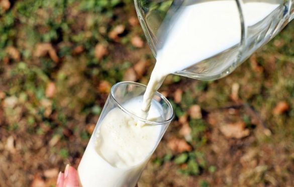  Benefits Of Drinking Warm Milk Everyday For Everyone