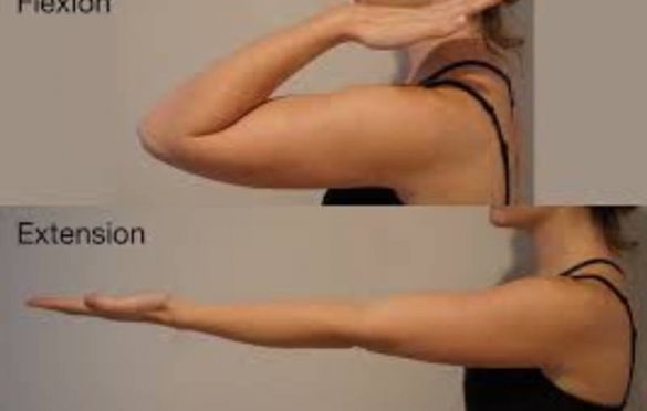  Shoulder flexion – What are exercises for shoulder flexion and extension?