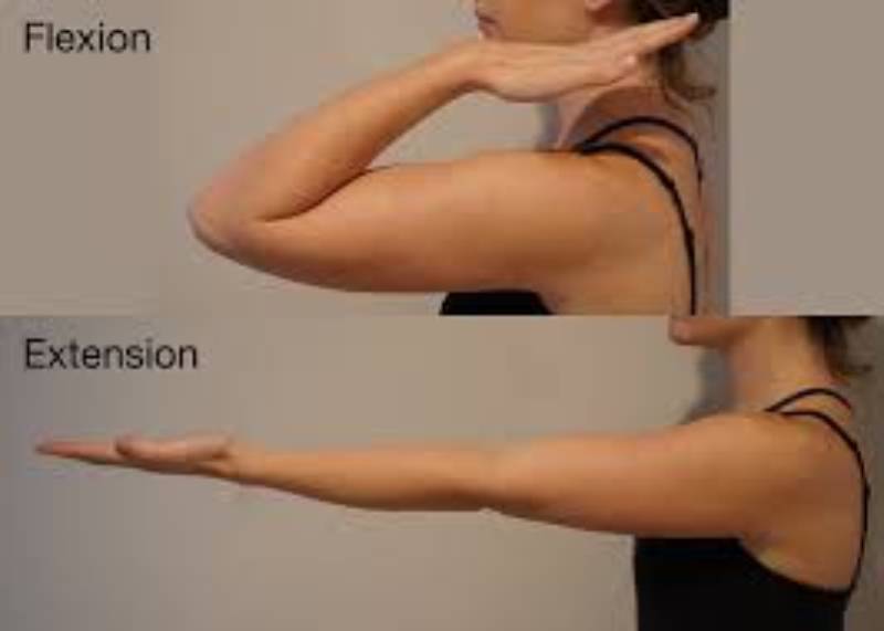 shoulder flexion