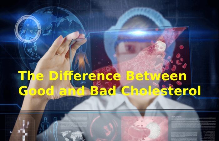 A Function of Cholesterol that does not Harm Health is its Role 