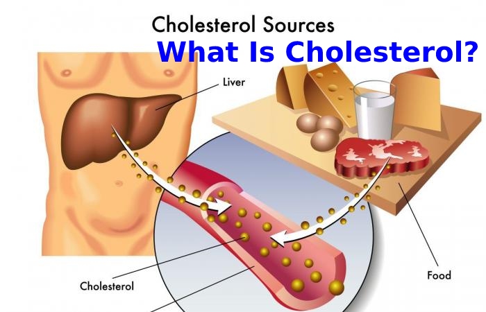 A Function of Cholesterol that does not Harm Health is its Role