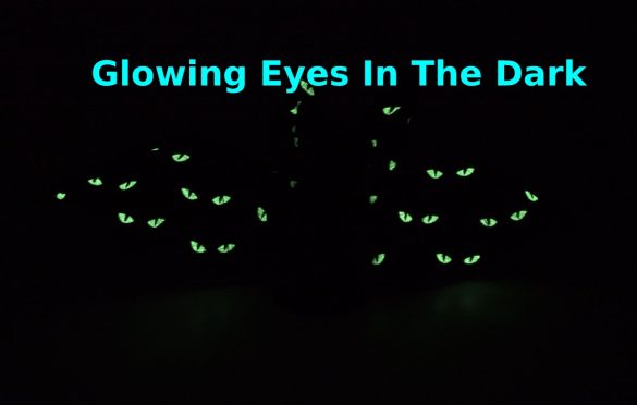  Glowing Eyes In The Dark – Brief Summary Report