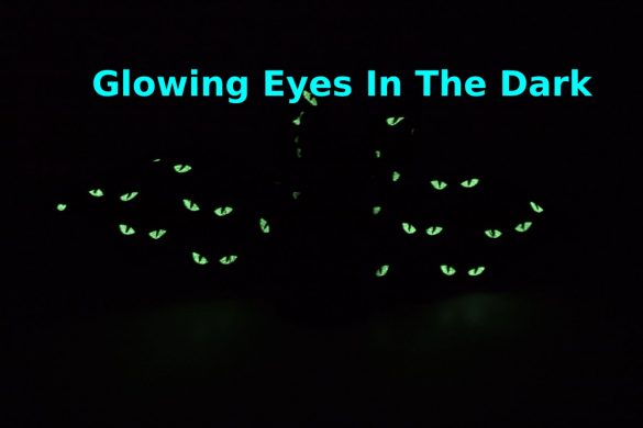 Glowing Eyes In The Dark
