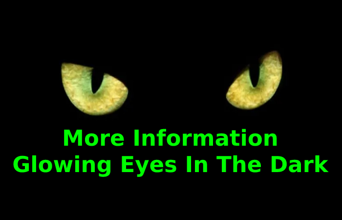 More Information Glowing Eyes In The Dark