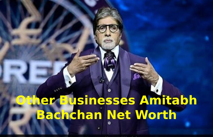 Other Businesses Amitabh Bachchan Net Worth