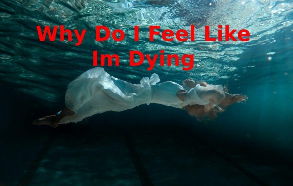  Why Do I Feel Like Im Dying – Detail Summary Report