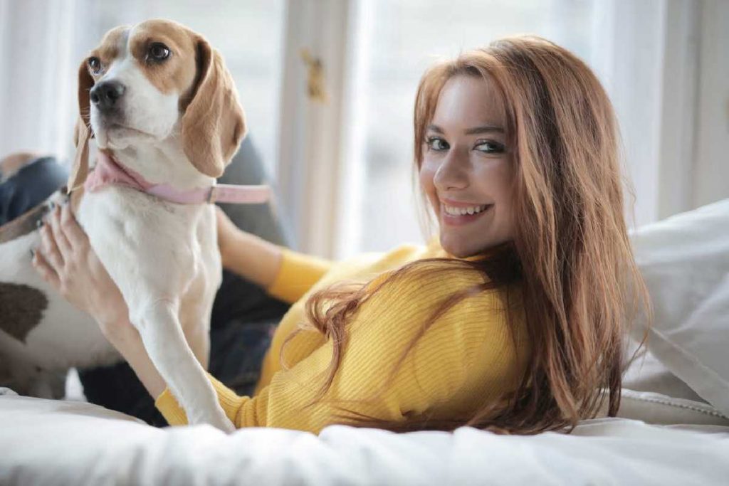 What to Look for When Buying a Dog Bed