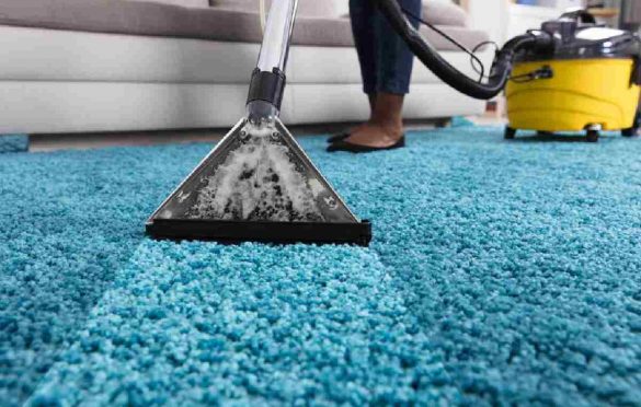  Why Professional Carpet Cleaning is Essential
