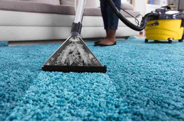Why Professional Carpet Cleaning is Essential