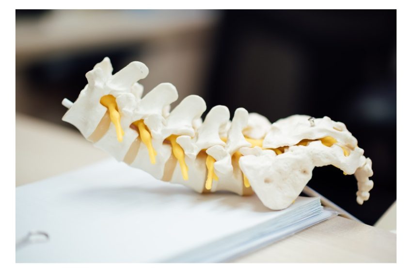 Wellhealthorganic.Com:Health-Hazards-Of-Prolonged-Sitting
